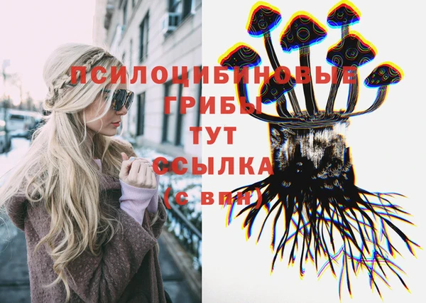 a pvp Рославль